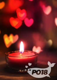 杂货铺适合什么样的玻璃门